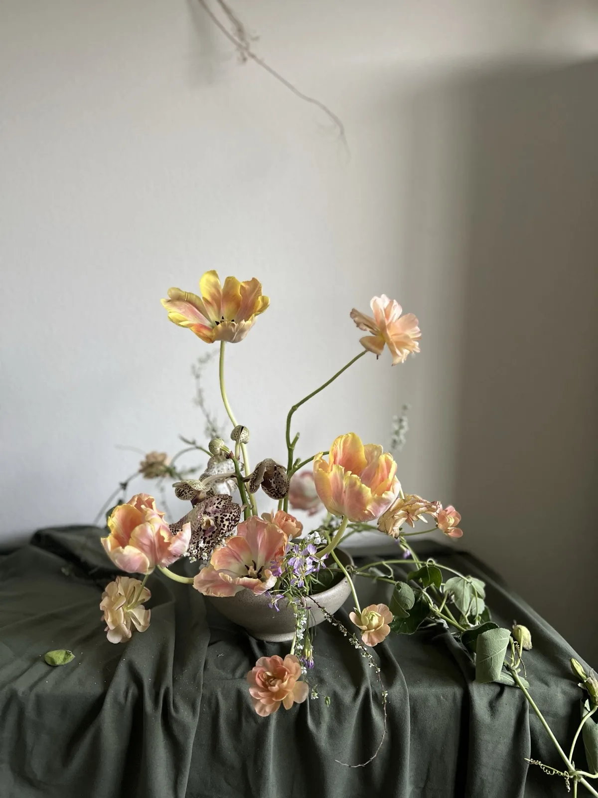 Designs — Let Them Eat Flowers